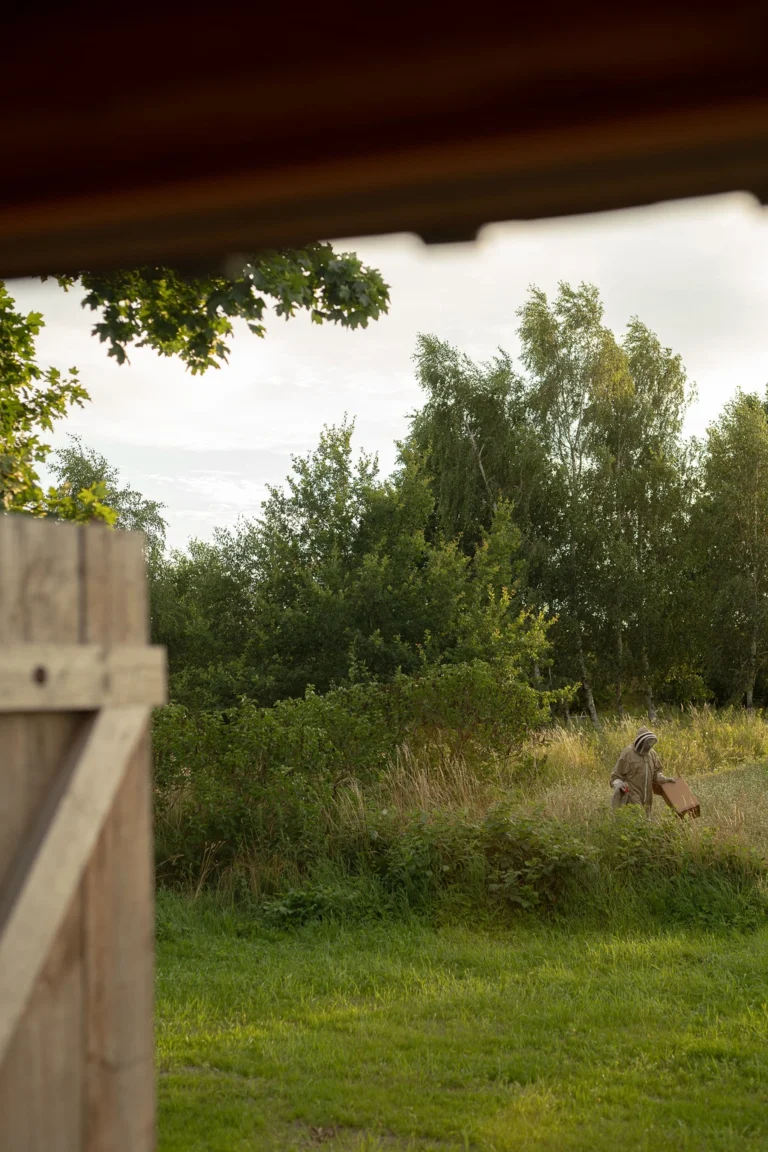 9ed8e30dca02e25f260af352ff33438f-631b2a21b3024